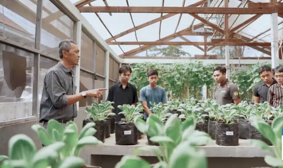 SDM Terbatas Pengaruhi Produktivitas Kakao di Bali