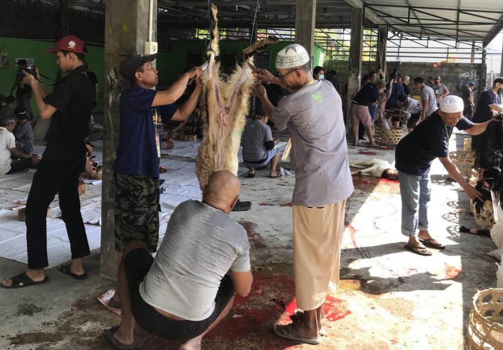 Pastikan Layak Konsumsi, Pemkot Denpasar Cek Kesehatan Daging Kurban Idul Adha 1445 Hijriah