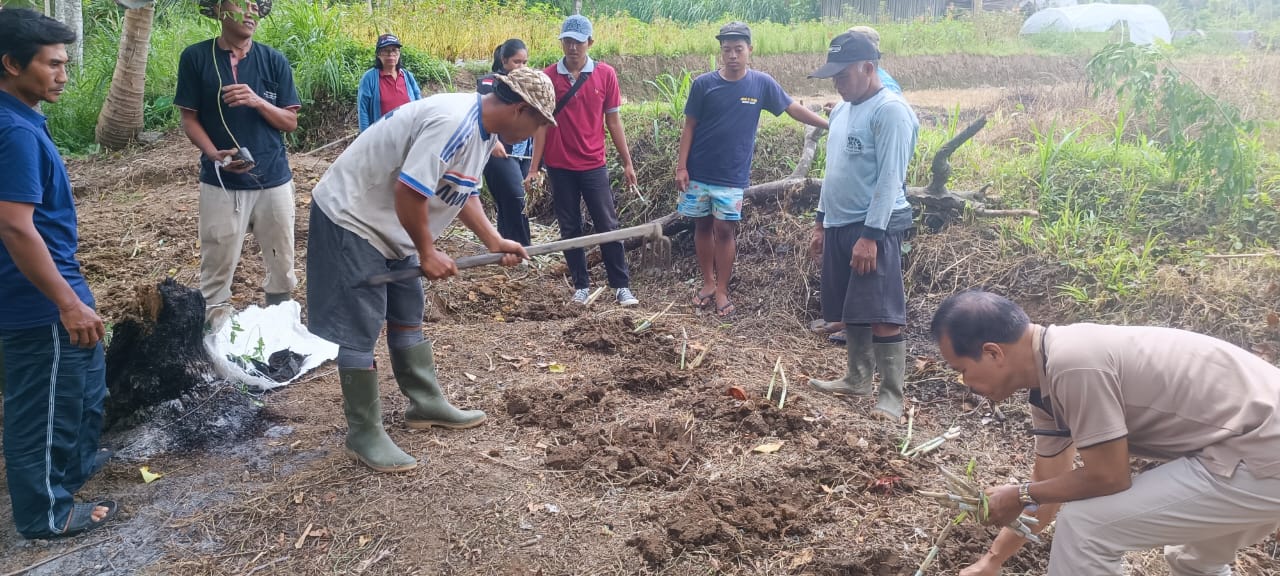 Tingkatkan Produktivitas Kambing, Peternak Diminta Optimalkan HMT