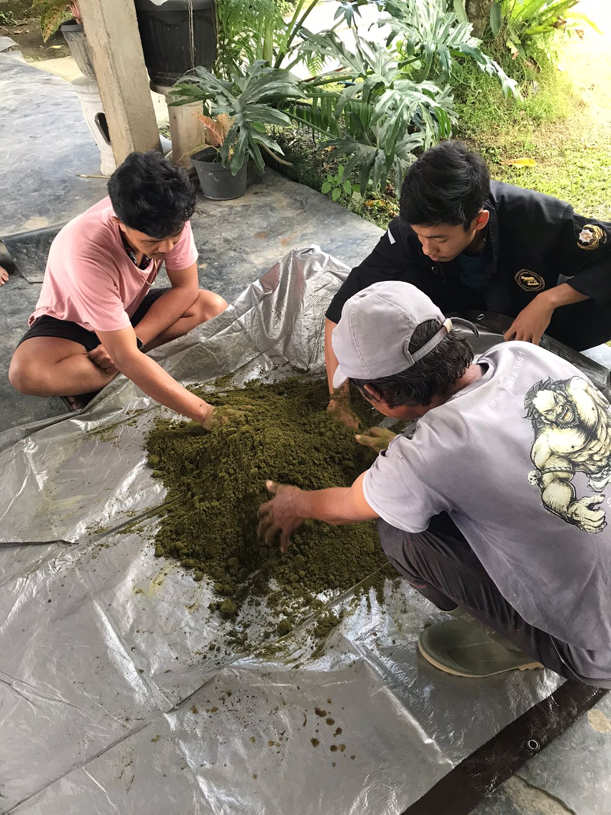 Pembudidaya Nila Direkomendasikan Manfaatkan Fermentasi Tepung Daun Pepaya Jepang Sebagai Pakan Alternatif