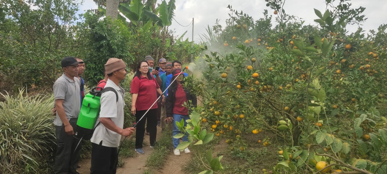 Petani Jeruk Diminta Prioritaskan Penggunaan Biopestisida