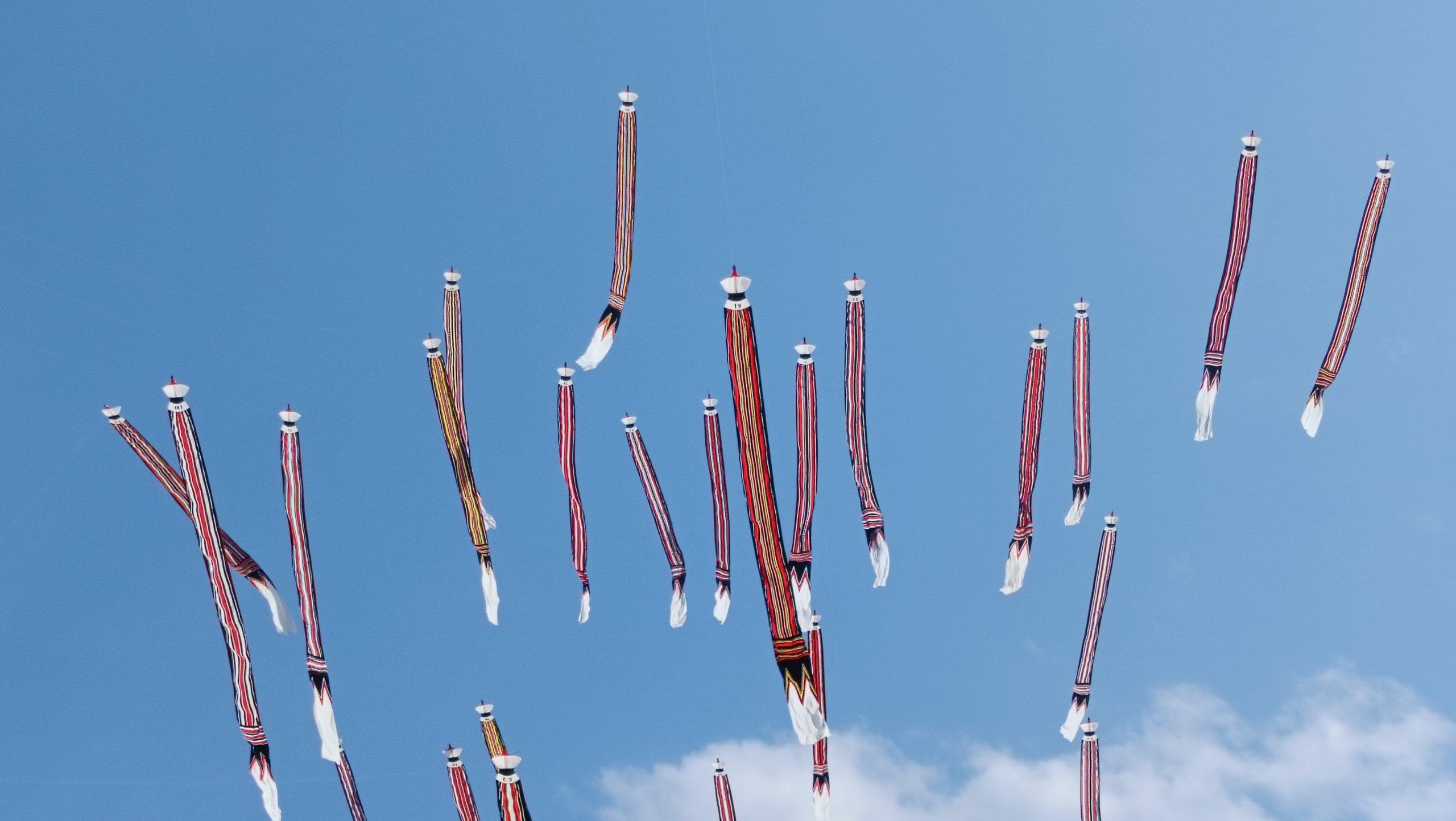 Hari Pertama, Ratusan Layang-layang Tradisional Bali Ikuti Denpasar Kite Festival VIII