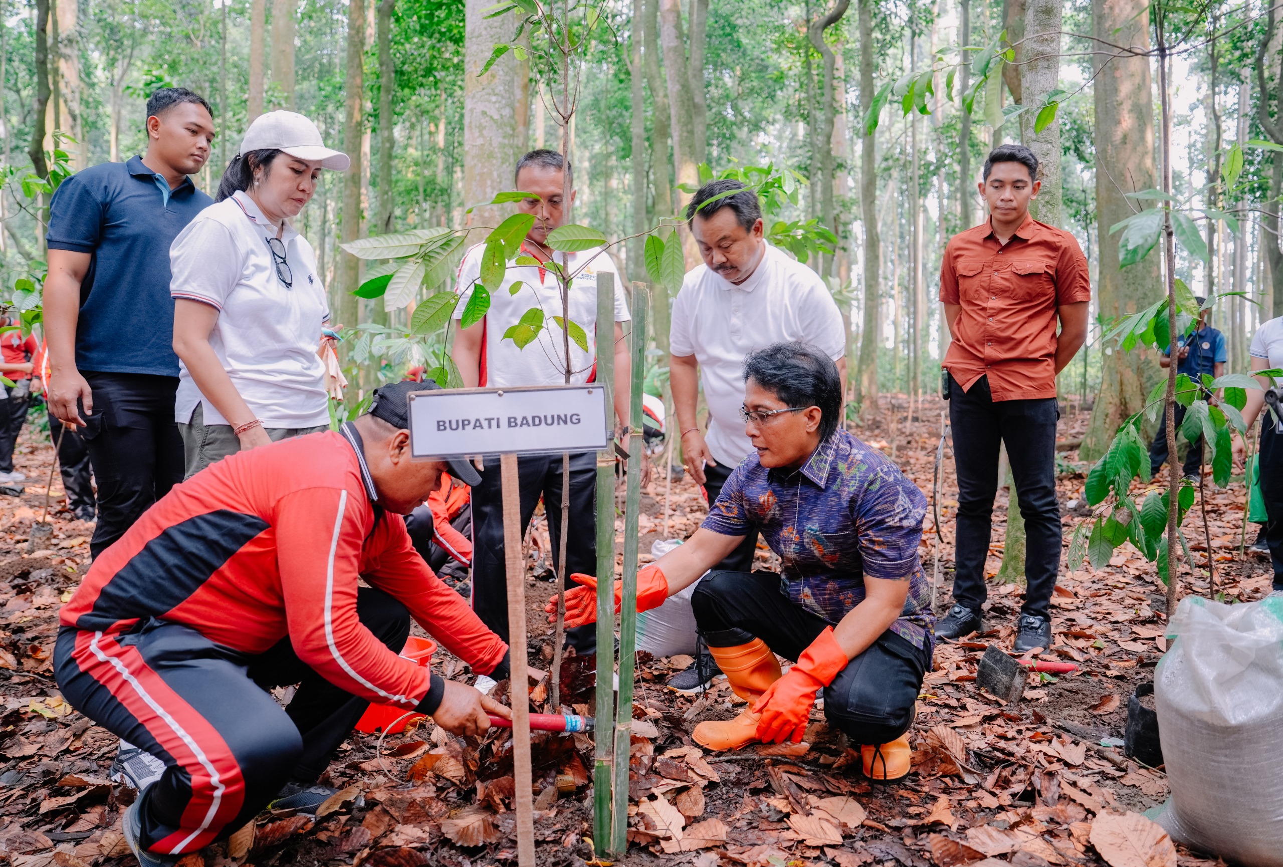 Merawat Bumi Lindungi Sumber Air, Giri Prasta Tanam 1.000 Pohon Pala di Alas Pala Sangeh