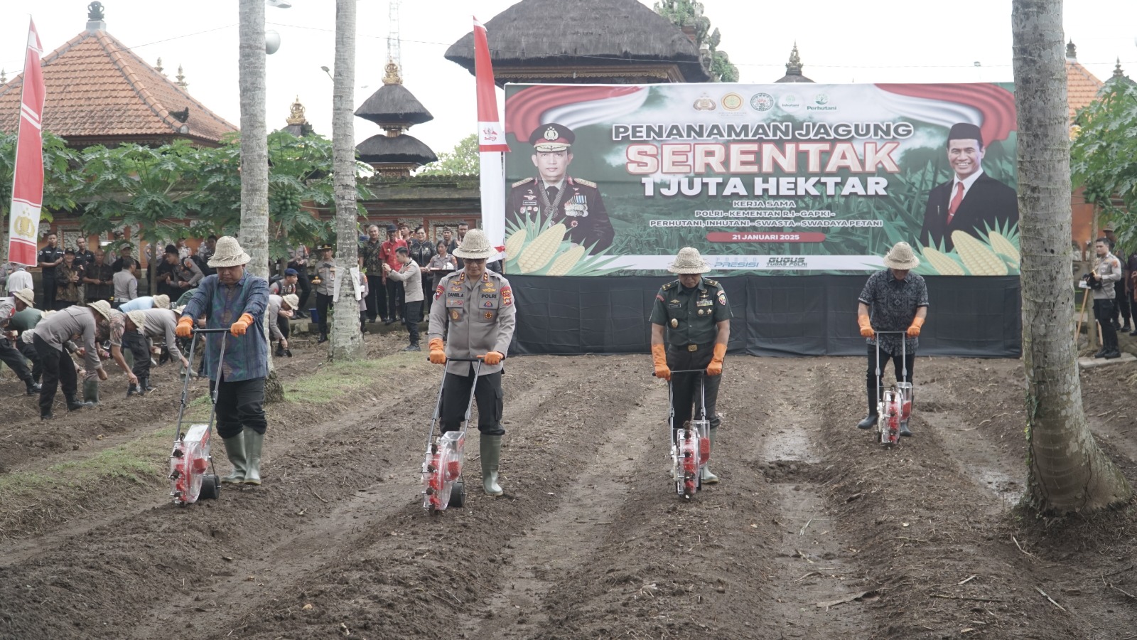 Dukung Swasembada Pangan, Polda Bali Tanam Jagung Serentak 1 Juta Hektar