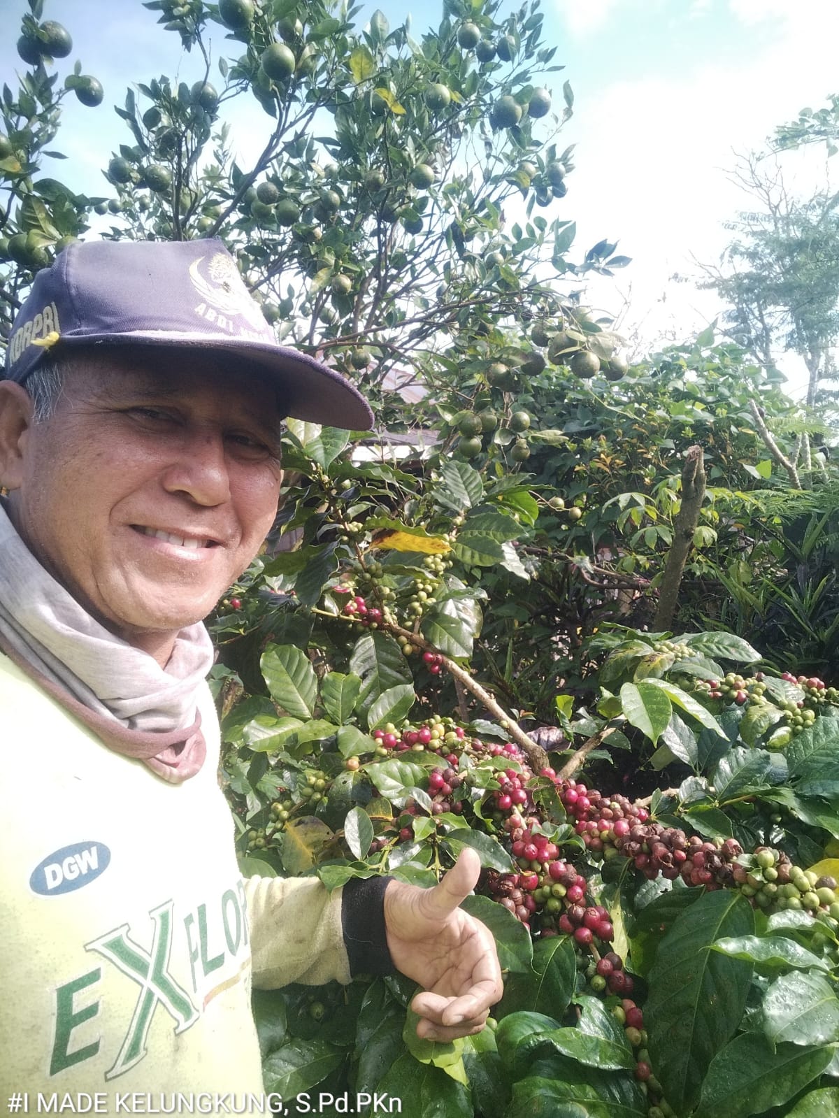 Harga Hasil Petik Merah Naik, Petani Kopi di Kintamani Sumringah