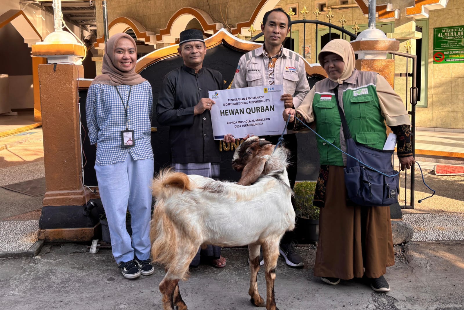 Sambut Hari Raya Idul Adha 1446 H, PLN Indonesia Power UBP Bali Unit Pemaron Serahkan Bantuan Hewan Qurban