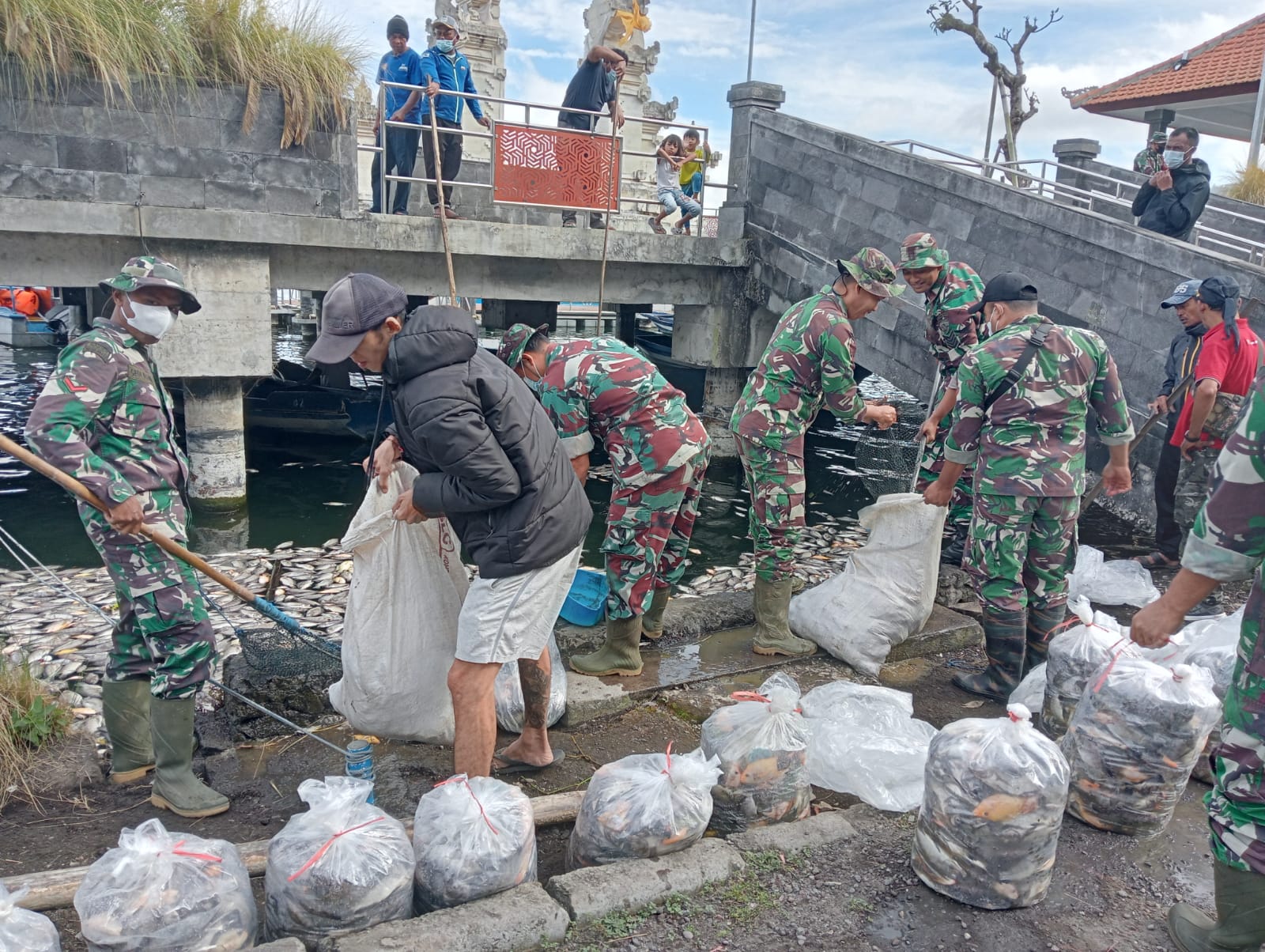 Tim Gabungan Bersihkan Ribuan Ikan Mati di Danau Batur, Kintamani