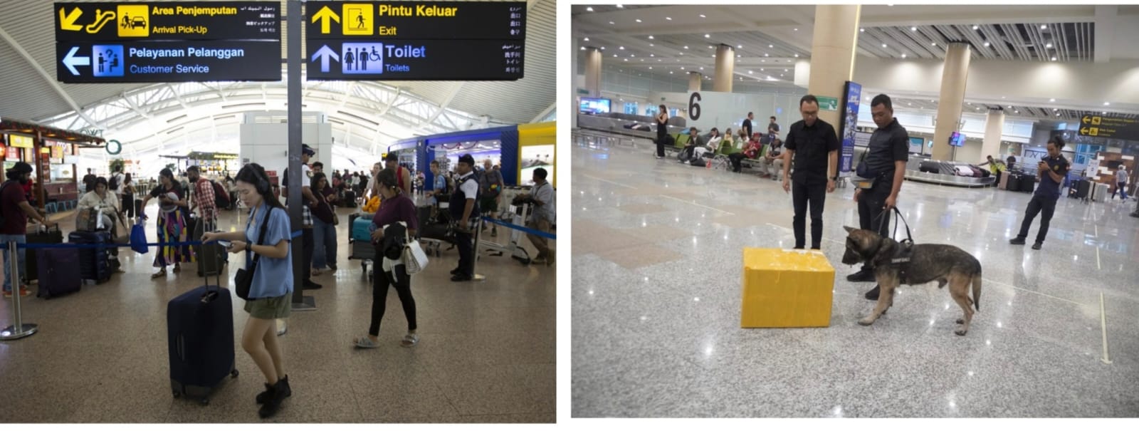 Wujudkan Seemless Journey, Bandara I Gusti Ngurah Rai Sesuaikan Alur Pemeriksaan Barang Penumpang