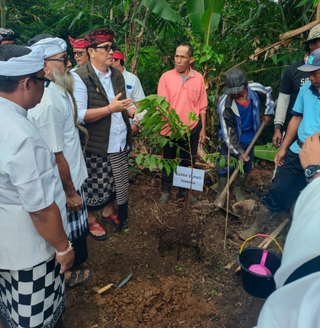 PLN Indonesia Power UBP Bali Serahkan 500 Bibit Bambu Ditanam Sekitar Huta Pura Luhur Batukau
